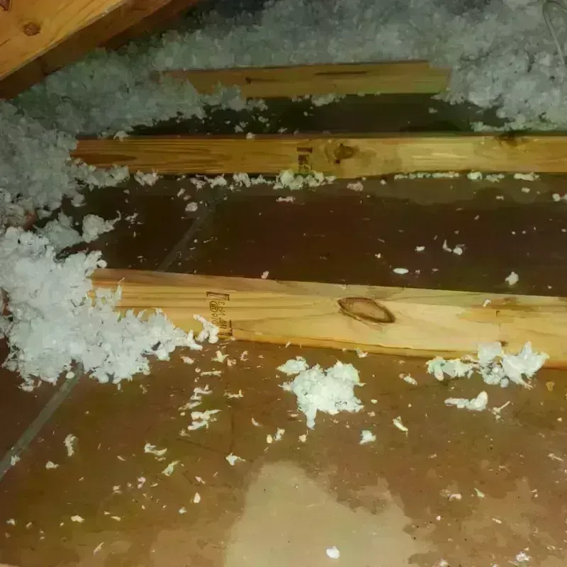 Attic Water Damage in Des Moines, IA